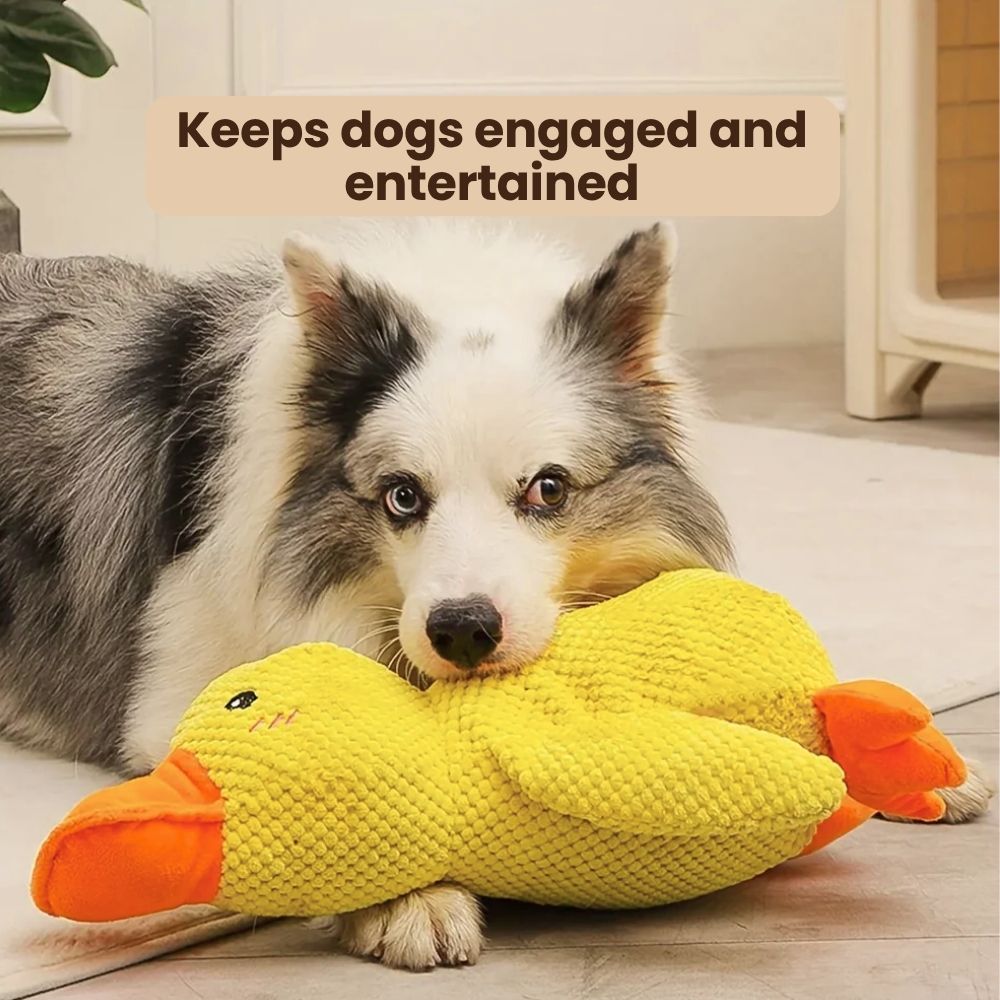 Soft Duck Play Toy for Dogs
