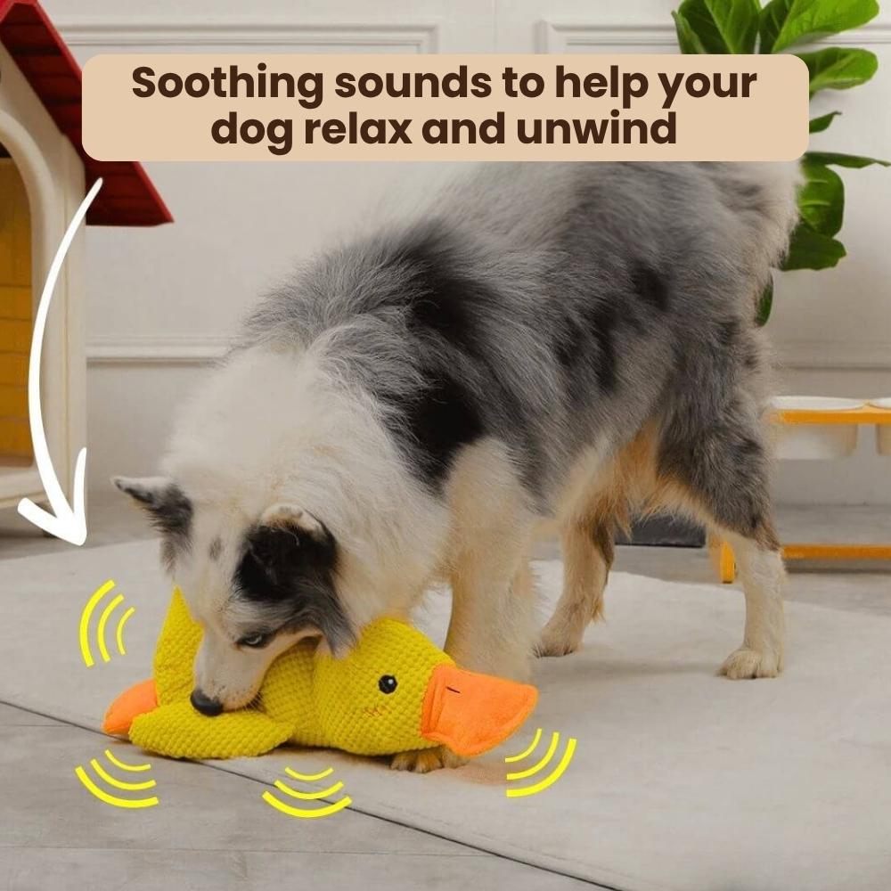 Soft Duck Play Toy for Dogs