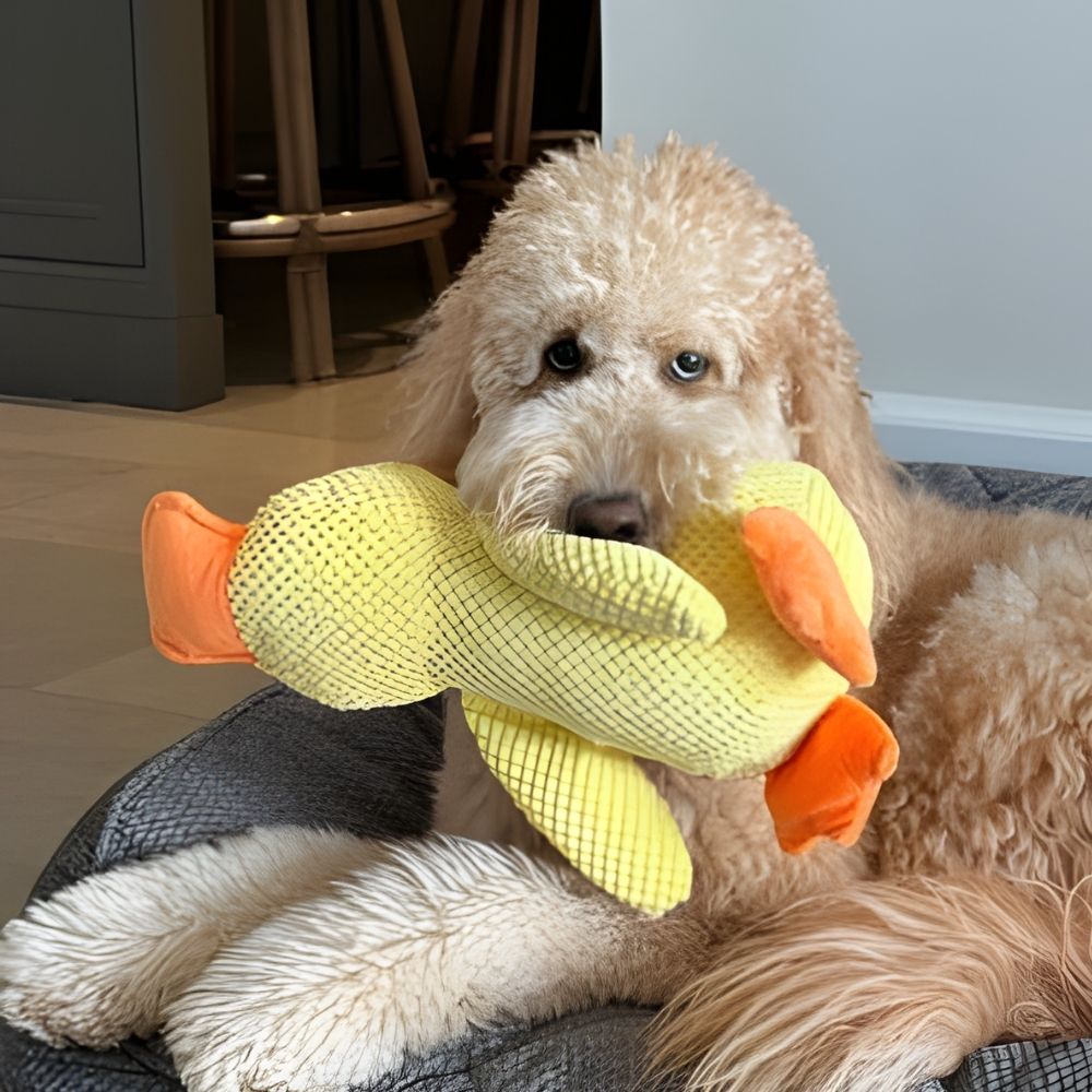 Soft Duck Play Toy for Dogs