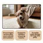 Interactive Rope Brush Toy for Dogs