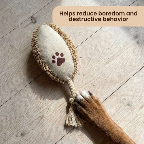 Interactive Rope Brush Toy for Dogs