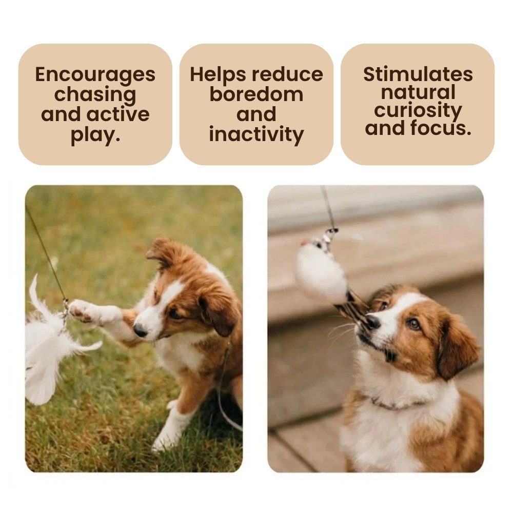 Interactive Bird Toy for Dogs