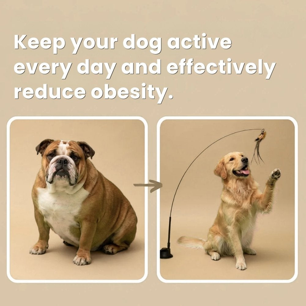 Interactive Bird Toy for Dogs