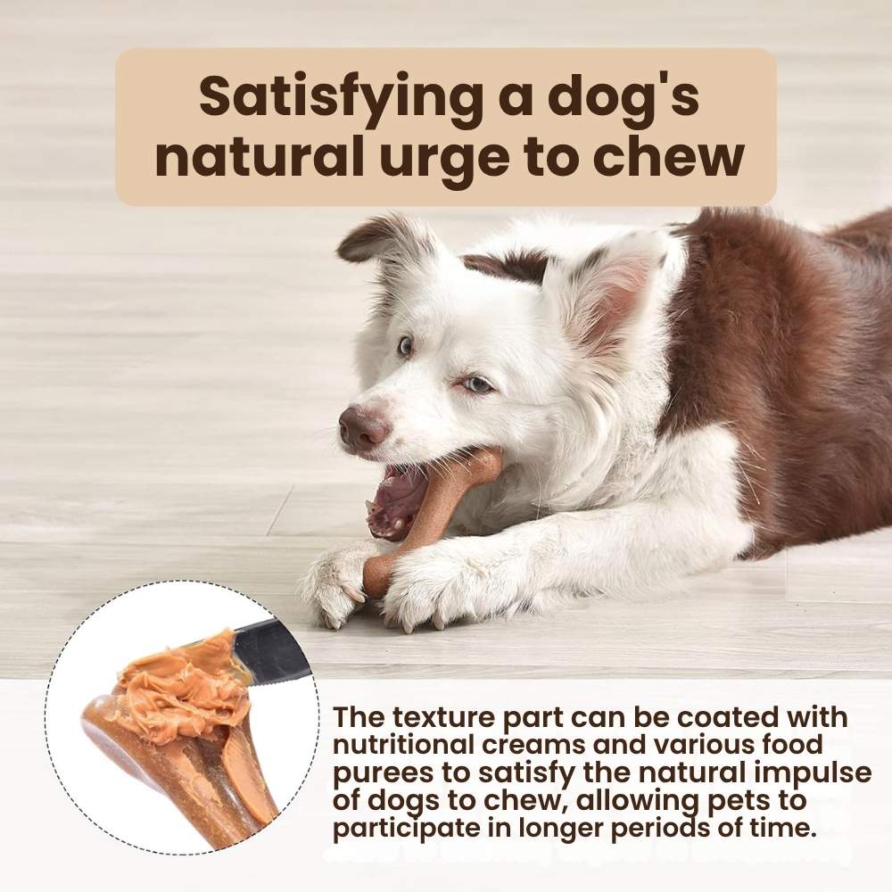 Durable Bone Chew Toy Set for Dogs (3-Pack)