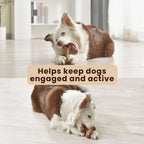 Durable Bone Chew Toy Set for Dogs (3-Pack)