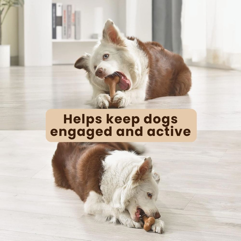 Durable Bone Chew Toy Set for Dogs (3-Pack)