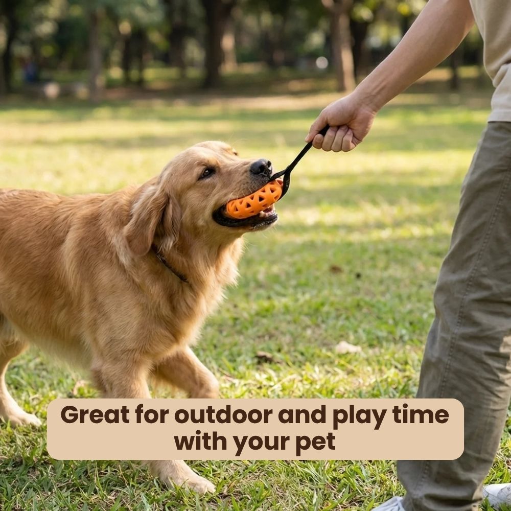 Rubber Ring Tug Toy for Dogs