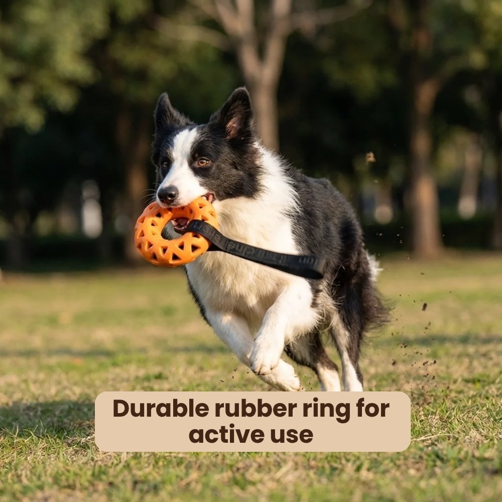 Rubber Ring Tug Toy for Dogs
