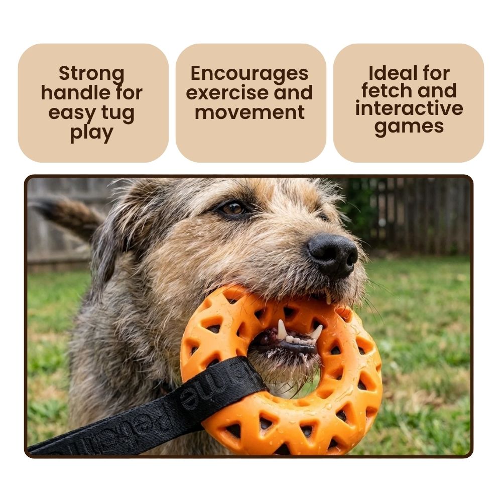Rubber Ring Tug Toy for Dogs