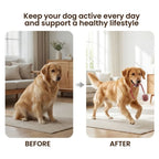 Interactive Smart Ball for Dogs