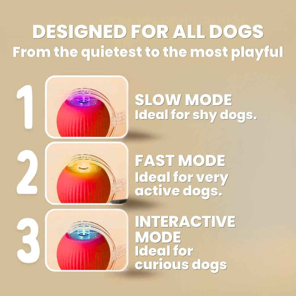 Interactive Smart Ball for Dogs